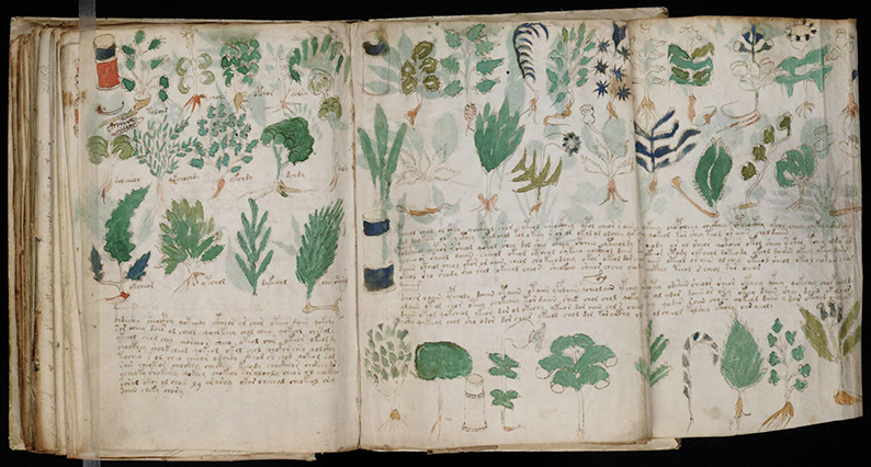 Codice Voynich