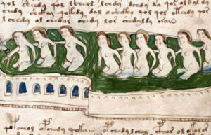 Manoscritto Voynich