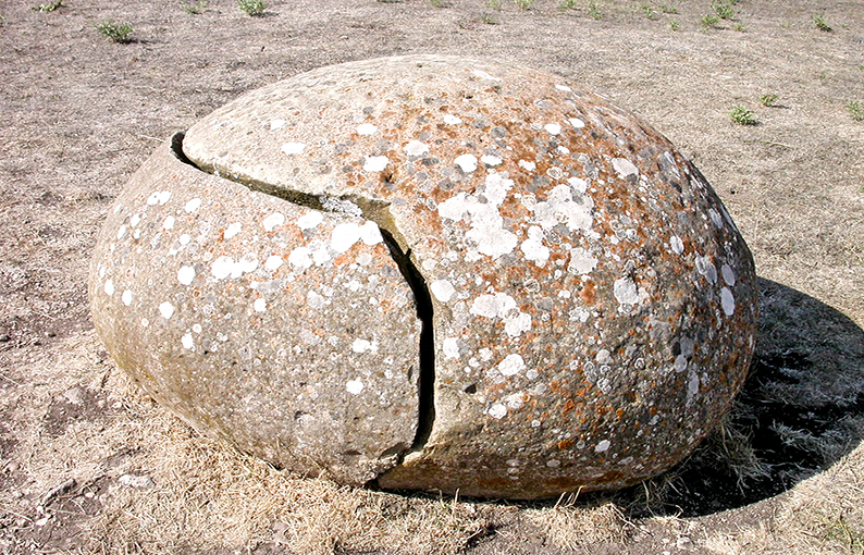 omphalos monte daccoddi