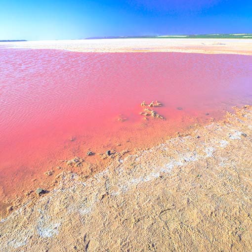 Hutt Lagoon 1 Hutt Lagoon 1