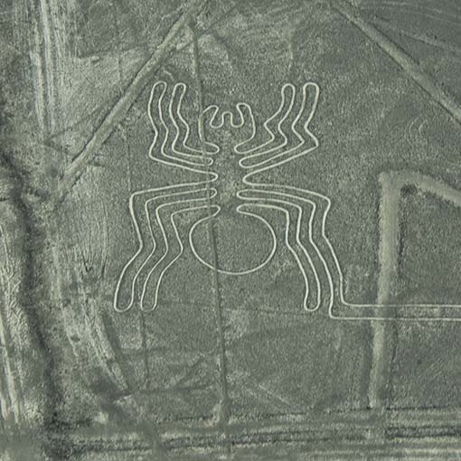 Linee di Nazca 1